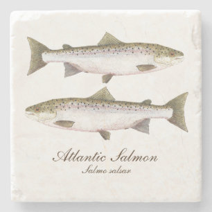 Atlantischer Lachs-Untersetzer Steinuntersetzer