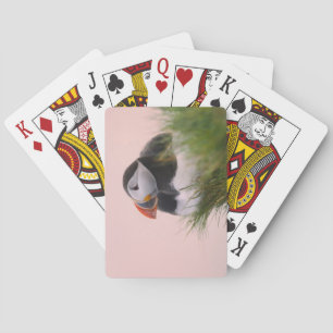 Atlantischer Papageitaucher (Fratercula arctica) Spielkarten