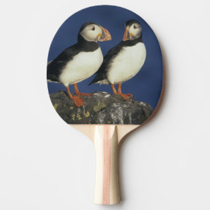 Atlantischer Papageitaucher Tischtennis Schläger