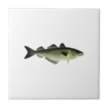 Atlantischer Pollock