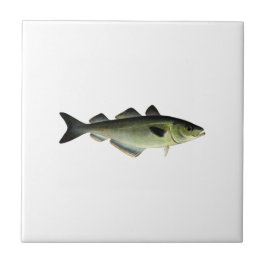 Atlantischer Pollock Fliese