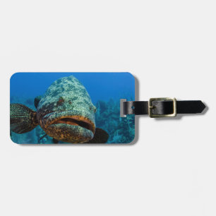 Atlantischer Riesenbarsch Gepäckanhänger