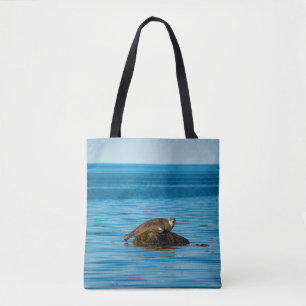 Atlantischer Seehund