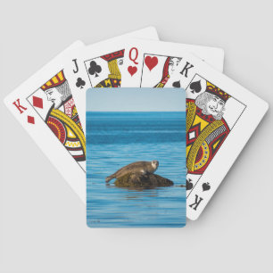Atlantischer Seehund Spielkarten