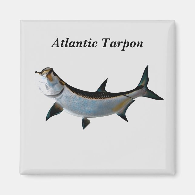 Atlantischer Tarpon Magnet (Vorne)