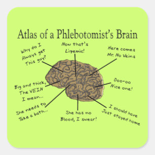 Atlas des Hirns eines Phlebotomisten Quadratischer Aufkleber