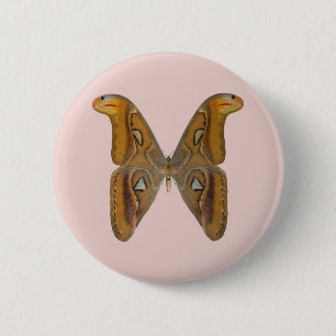 Atlas Moth Button