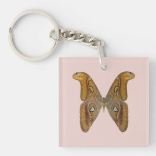Atlas Moth Schlüsselanhänger