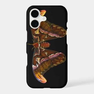 Atlas Moth - Snake Head