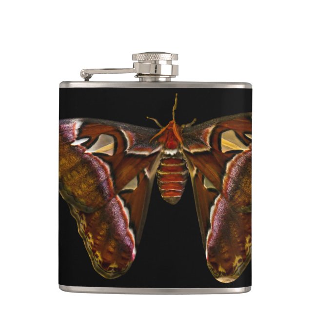Atlas Moth - Snake Head Flachmann (Vorderseite)