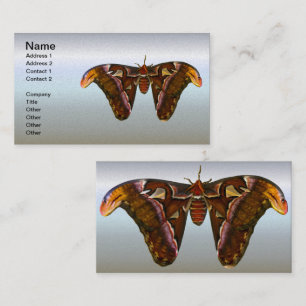 Atlas Moth - Snake Head Visitenkarte