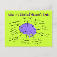 Atlas of a Medical Student's Brain #2