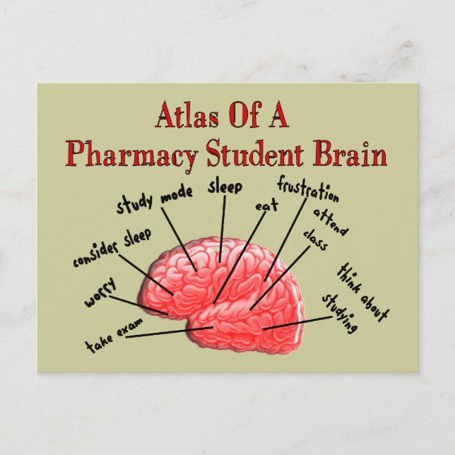 Atlas of a Pharmacy Student Brain Postkarte (Vorderseite)