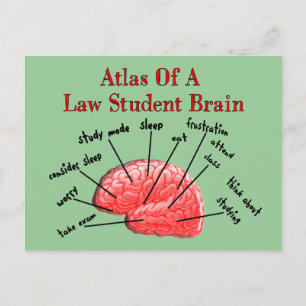 Atlas of Law Student Brain Postkarte