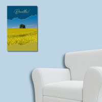 Atme! Gelbe Canola unter blauem Himmel