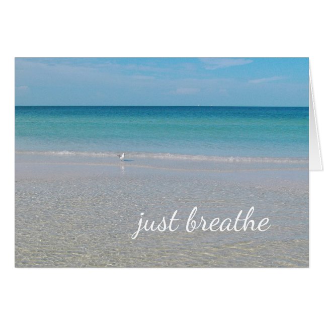 Atmen Sie einfach den Seelöwe am Strand ein (Vorderseite (Horizontal))