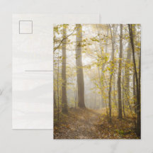 Atmosphärischer Herbstpark im Nebel