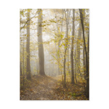 Atmosphärischer Herbstpark im Nebel
