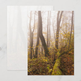 Atmosphärischer Herbstwald im Nebel Feiertagskarte
