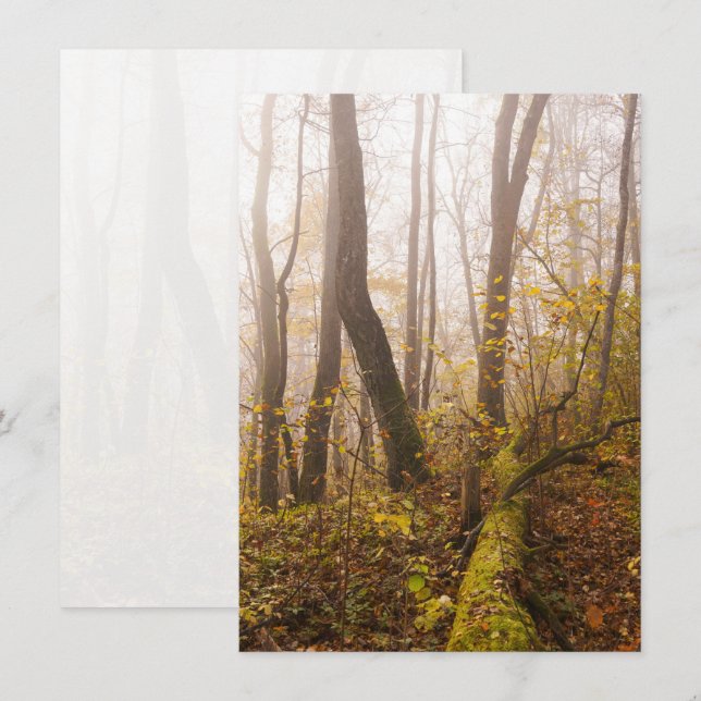 Atmosphärischer Herbstwald im Nebel Feiertagskarte (Vorne/Hinten)
