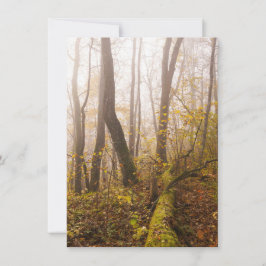 Atmosphärischer Herbstwald im Nebel Feiertagskarte