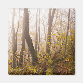 Atmosphärischer Herbstwald im Nebel, Foto Magnet