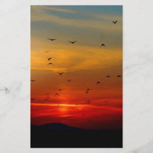 Atmosphärischer Himmel, Sonnenuntergang, Vögel, sc Briefpapier