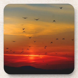 Atmosphärischer Himmel, Sonnenuntergang, Vögel, sc Getränkeuntersetzer