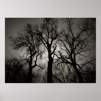 Atomcerebellum : Lake Front im Winter Poster