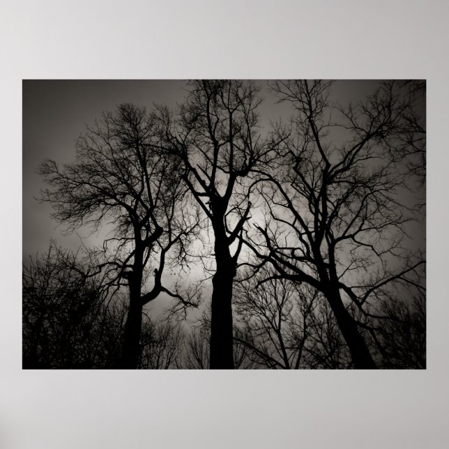 Atomcerebellum : Lake Front im Winter Poster (Vorne)