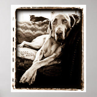 Atomic Cerebellum : Ballous Vorsitz Poster