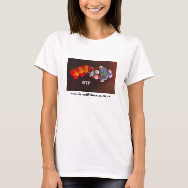 ATP - das Energiemolekül T-Shirt (Vorderseite)