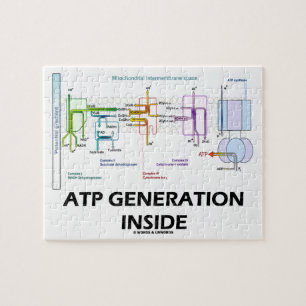 Atp-Generation innerhalb der Puzzle