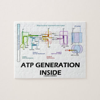 Atp-Generation innerhalb der Puzzle