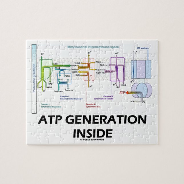 Atp-Generation innerhalb der Puzzle (Horizontal)