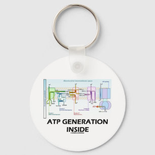 Atp-Generations-Innere (Elektron-Transport-Kette) Schlüsselanhänger
