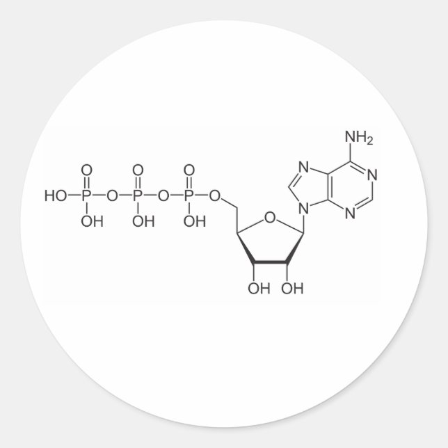 Atp-Molekül Runder Aufkleber (Vorderseite)