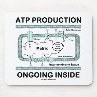 ATP-Produktion im Innen Mousepad