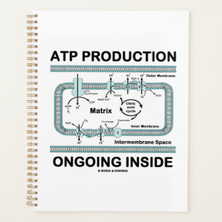 ATP-Produktion läuft innerhalb des Mitochondriums Planer