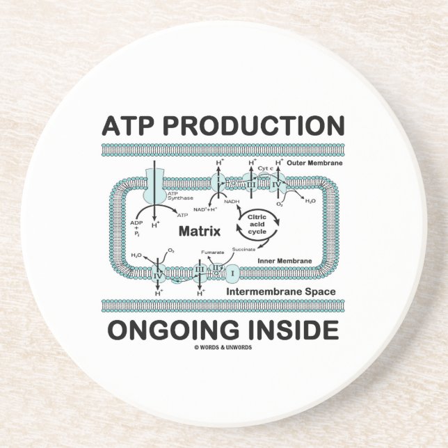 Atp-Produktions-laufendes Innere (Mitochondrion) Getränkeuntersetzer (Vorne)