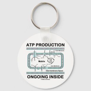 Atp-Produktions-laufendes Innere Schlüsselanhänger