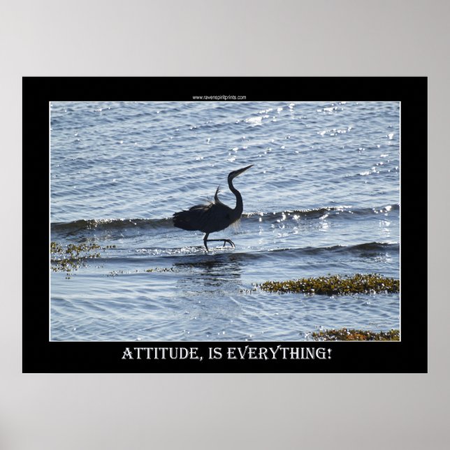 ATTITUDE IST ALLES Great Blue Heron Foto Poster (Vorne)