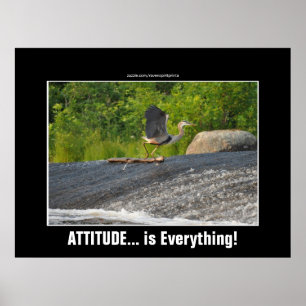 ATTITUDE IST ALLES, WAS Great Blue Heron & Falls Poster