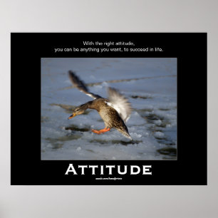 Attitude Mallard Duck Motivierend Poker Poster
