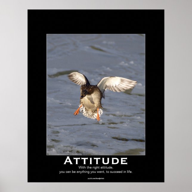 Attitude Mallard Duck Motivierend Poker Poster (Vorne)