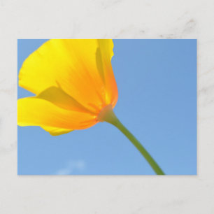 Attraktionsgesetz Postkarte