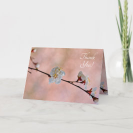 Attraktive japanische Apricot-Blume Dankeskarte