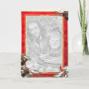 Attraktiver Kardinal und Pinienwälder auf einem ro Feiertagskarte