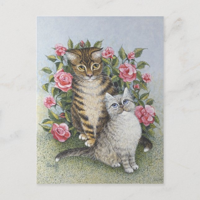 Attraktivität Postkarte (Vorderseite)