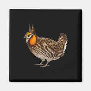 Attwaters Prairie Chicken Vogel Wildtiere Natur Magnet